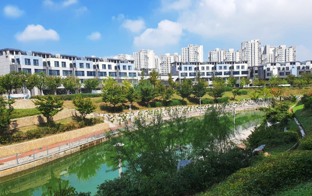 범양 레우스 라세느